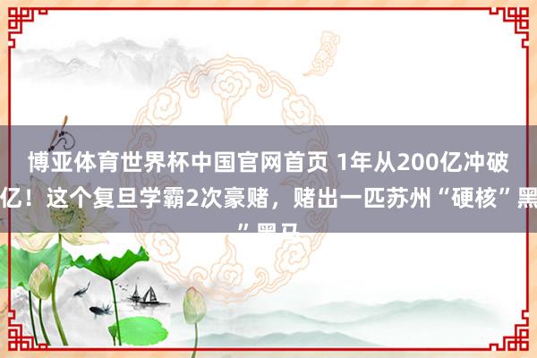 博亚体育世界杯中国官网首页 1年从200亿冲破千亿!这个复旦学霸2次豪赌,赌出一匹苏州“硬核”黑马