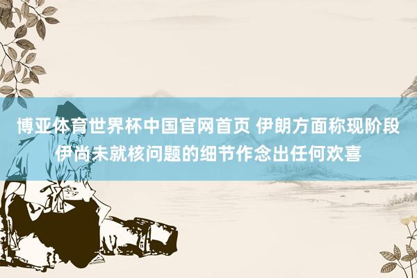 博亚体育世界杯中国官网首页 伊朗方面称现阶段伊尚未就核问题的细节作念出任何欢喜