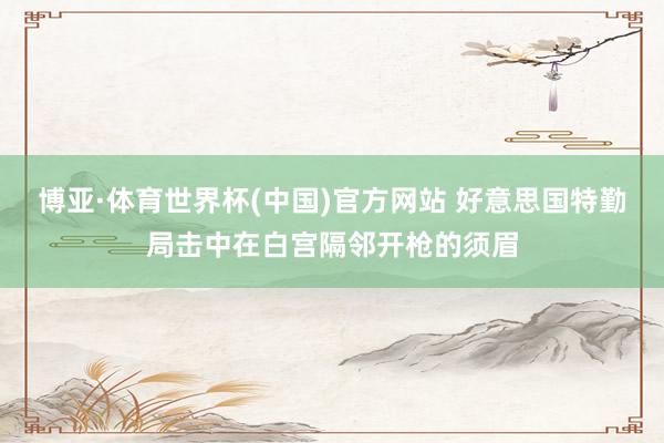 博亚·体育世界杯(中国)官方网站 好意思国特勤局击中在白宫隔邻开枪的须眉