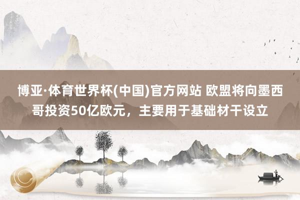 博亚·体育世界杯(中国)官方网站 欧盟将向墨西哥投资50亿欧元,主要用于基础材干设立