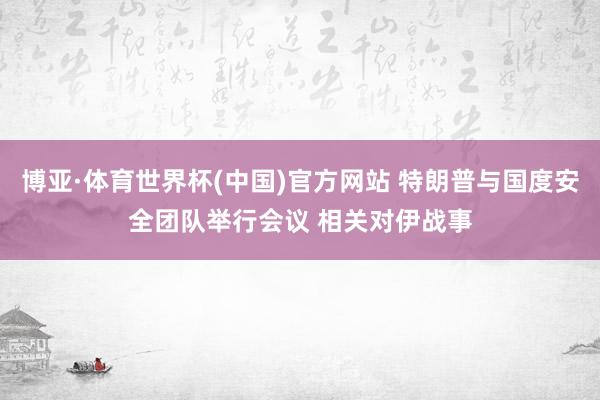 博亚·体育世界杯(中国)官方网站 特朗普与国度安全团队举行会议 相关对伊战事