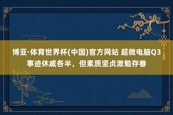 博亚·体育世界杯(中国)官方网站 超微电脑Q3事迹休戚各半，但素质坚贞激勉存眷