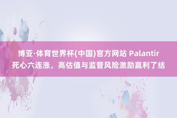 博亚·体育世界杯(中国)官方网站 Palantir死心六连涨,高估值与监管风险激励赢利了结