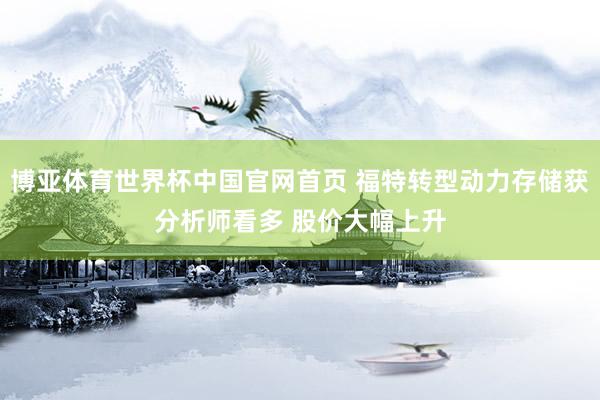 博亚体育世界杯中国官网首页 福特转型动力存储获分析师看多 股价大幅上升