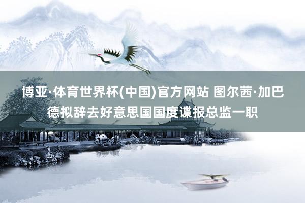 博亚·体育世界杯(中国)官方网站 图尔茜·加巴德拟辞去好意思国国度谍报总监一职