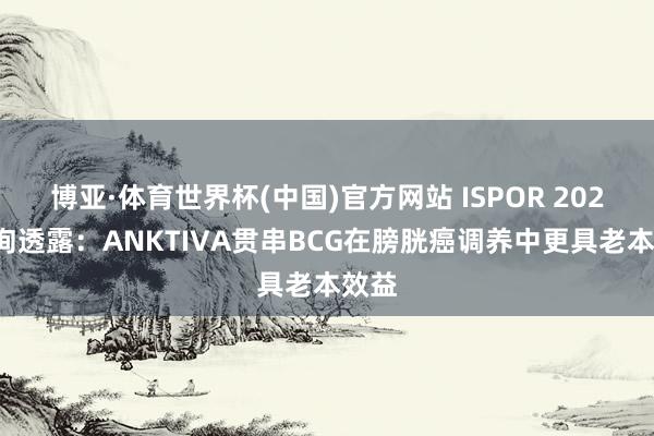 博亚·体育世界杯(中国)官方网站 ISPOR 2026征询透露:ANKTIVA贯串BCG在膀胱癌调养中更具老本效益