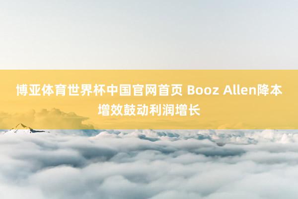 博亚体育世界杯中国官网首页 Booz Allen降本增效鼓动利润增长