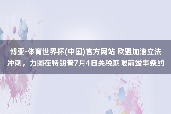 博亚·体育世界杯(中国)官方网站 欧盟加速立法冲刺,力图在特朗普7月4日关税期限前竣事条约