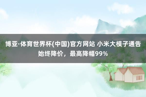 博亚·体育世界杯(中国)官方网站 小米大模子通告始终降价,最高降幅99%