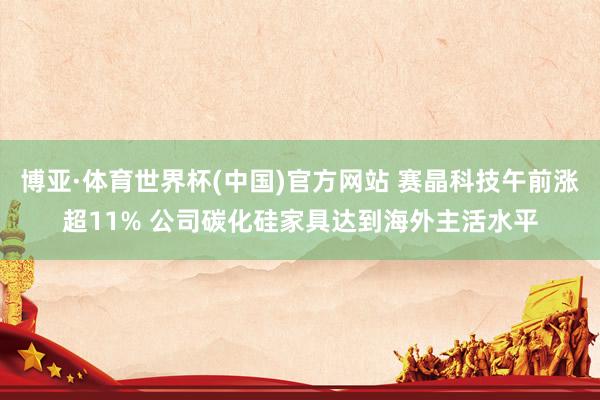 博亚·体育世界杯(中国)官方网站 赛晶科技午前涨超11% 公司碳化硅家具达到海外主活水平