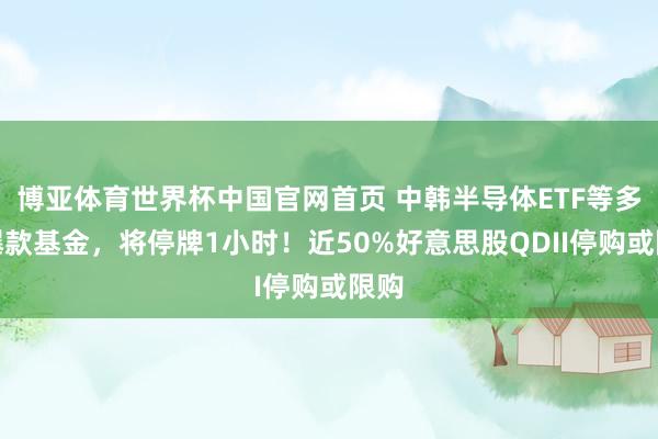 博亚体育世界杯中国官网首页 中韩半导体ETF等多只爆款基金,将停牌1小时!近50%好意思股QDII停购或限购