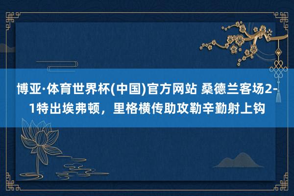 博亚·体育世界杯(中国)官方网站 桑德兰客场2-1特出埃弗顿，里格横传助攻勒辛勤射上钩
