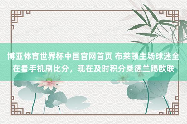 博亚体育世界杯中国官网首页 布莱顿主场球迷全在看手机刷比分，<a href=