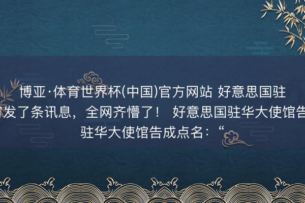 博亚·体育世界杯(中国)官方网站 好意思国驻华使馆深宵发了条讯息,全网齐懵了! 好意思国驻华大使馆告成点名:“