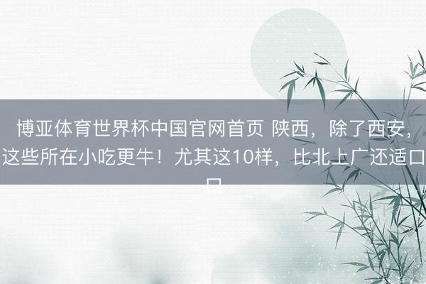 博亚体育世界杯中国官网首页 陕西，除了西安，这些所在小吃更牛！尤其这10样，比北上广还适口