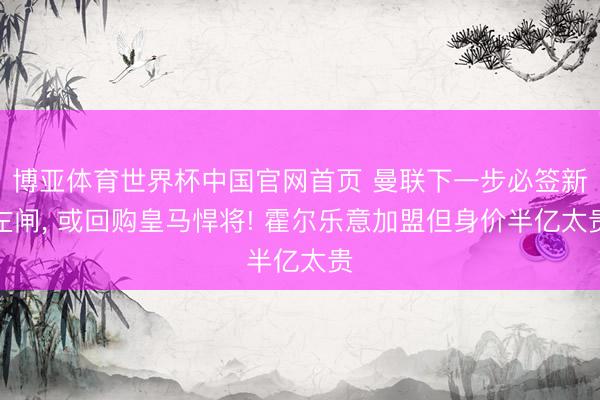 博亚体育世界杯中国官网首页 曼联下一步必签新左闸, 或回购皇马悍将! 霍尔乐意加盟但身价半亿太贵